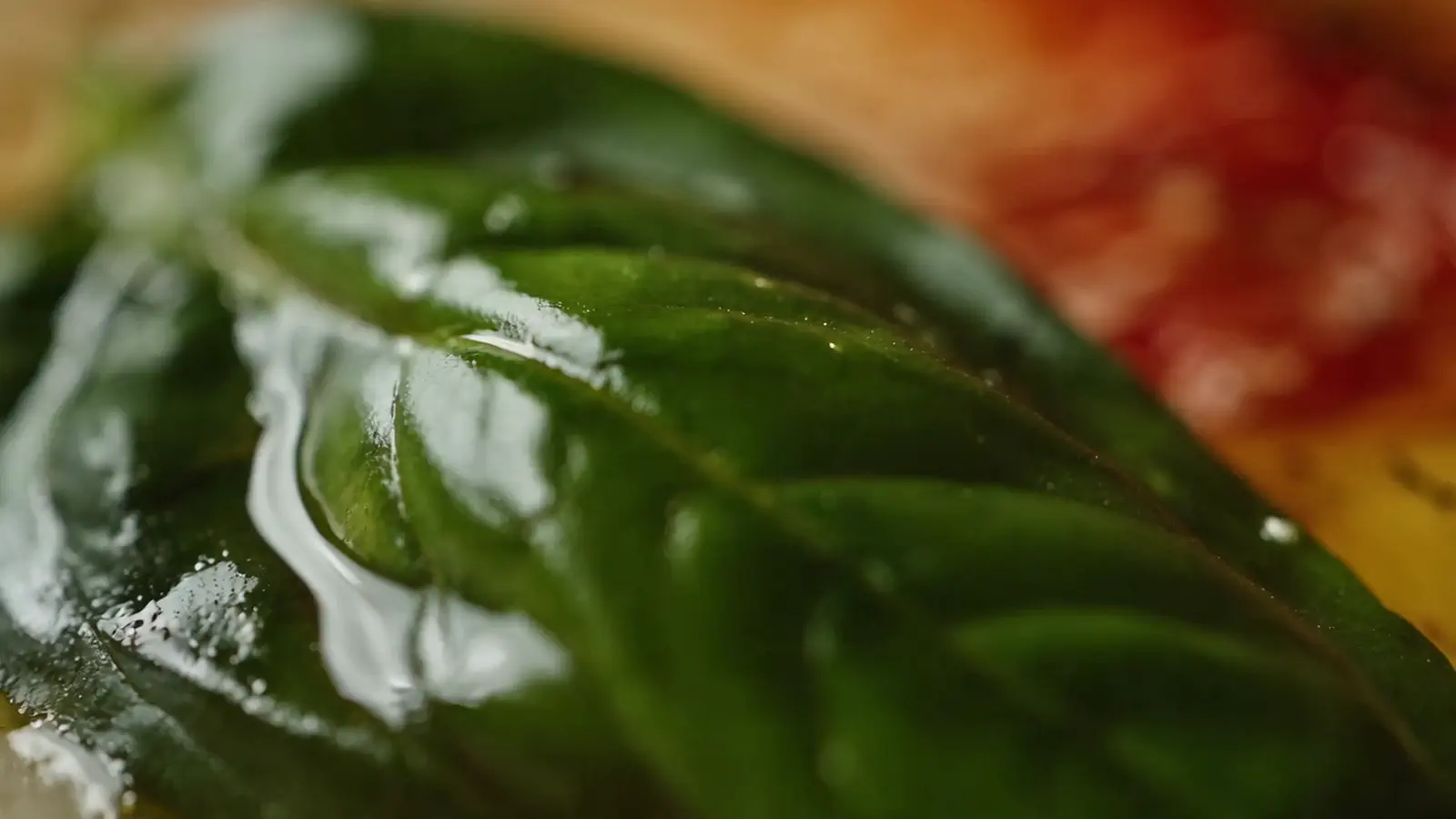 Gros plan sur une feuille de basilic et des gouttes d’huile d’olive, posées sur une pizza